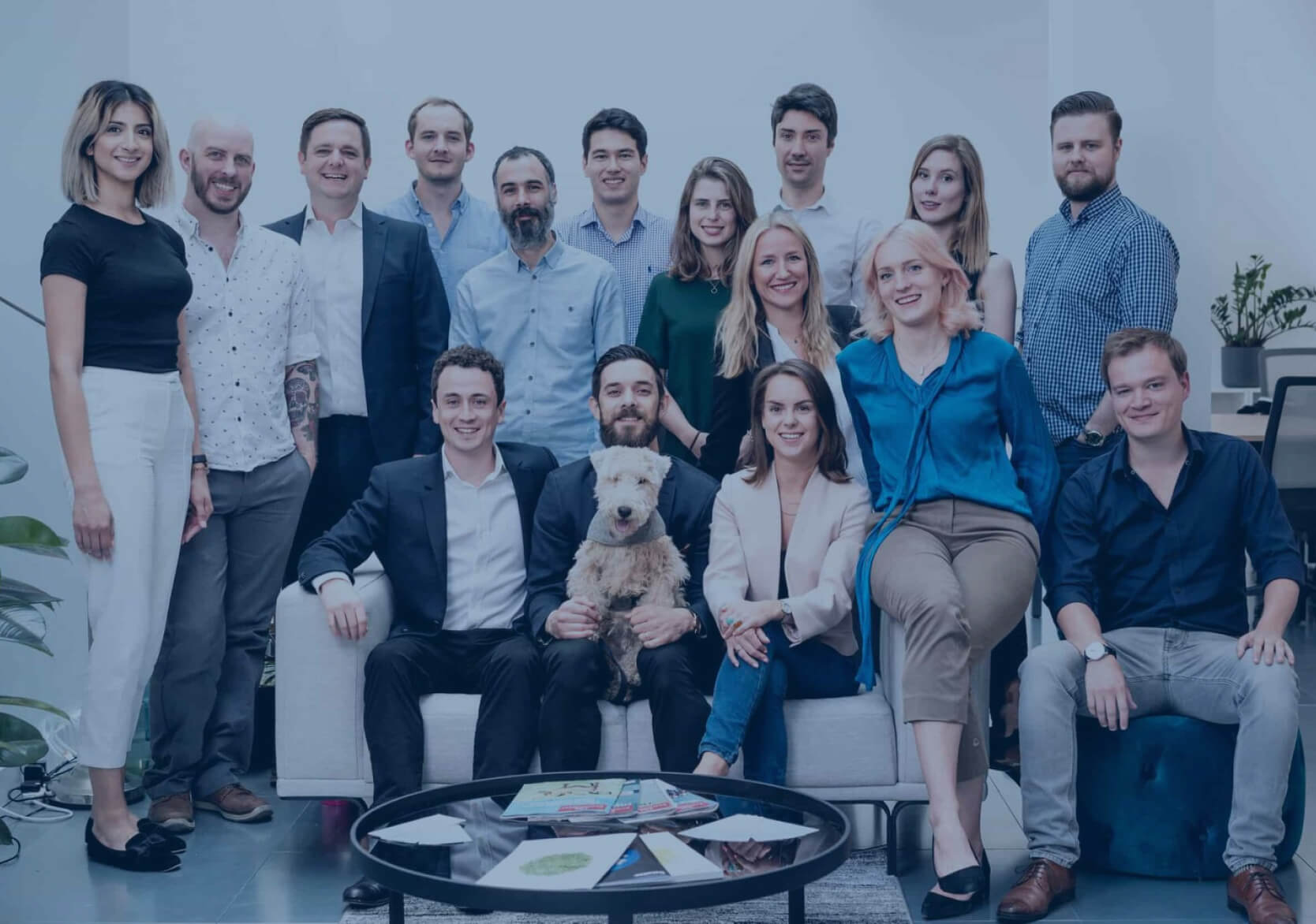 Professional Advisor